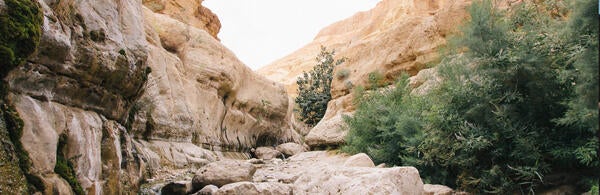 Canyon View