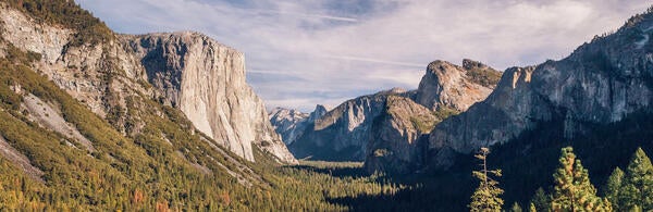 Yosemite Park