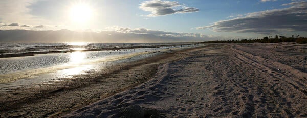 Salton Sea (c) UCR